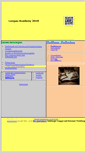 Mobile Screenshot of lungau-academy.at